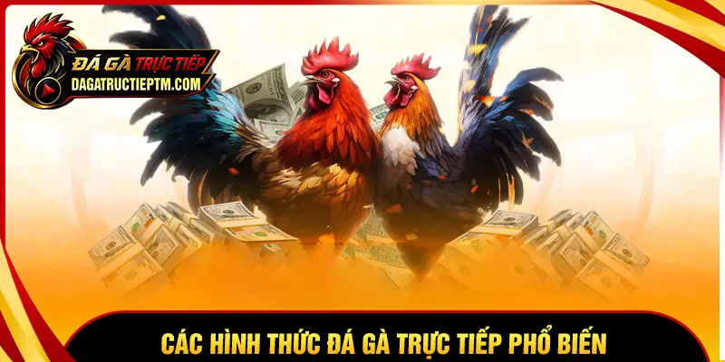 Các hình thức Đá gà trực tiếp hấp dẫn nhất hiện nay