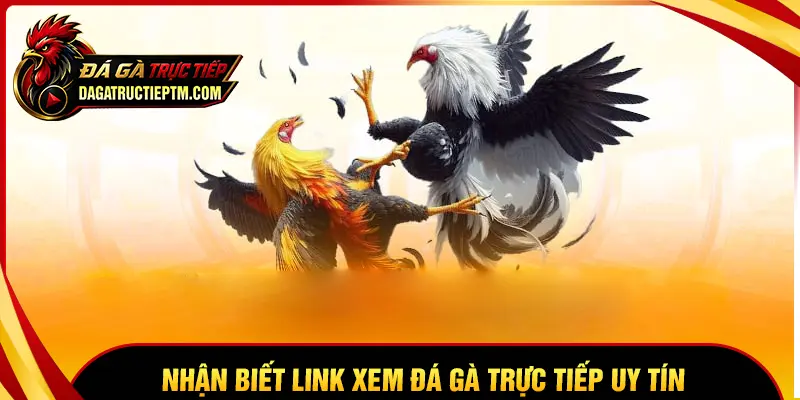 Cách nhận biết link Đá gà trực tiếp uy tín