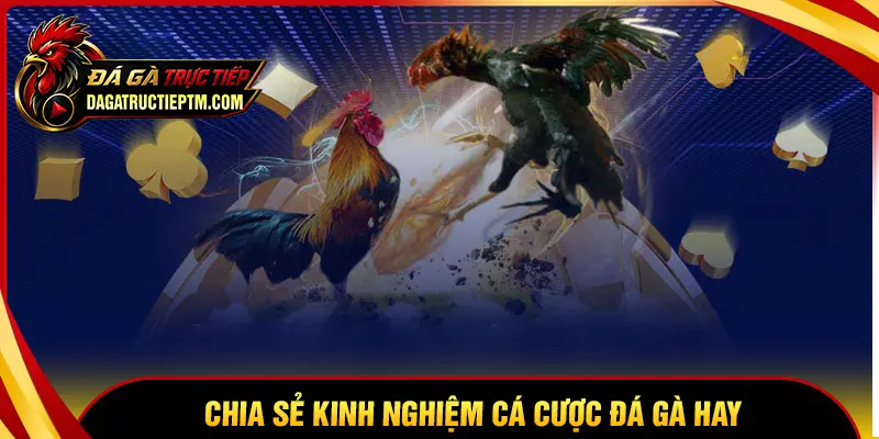 Chia sẻ kinh nghiệm cá cược từ các chuyên gia