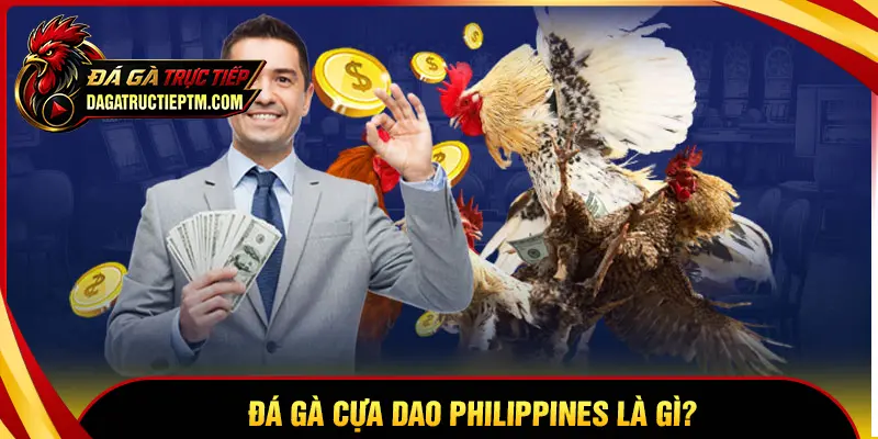 Đá gà cựa dao Philippines là gì?