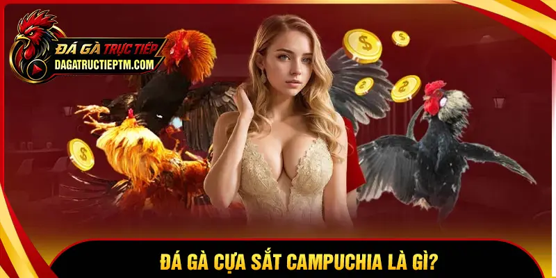 Đá gà cựa sắt Campuchia là gì?