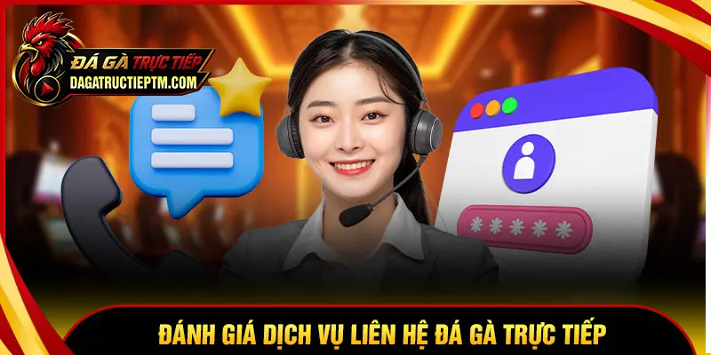 Đánh giá chất lượng dịch vụ liên hệ Đá gà trực tiếp