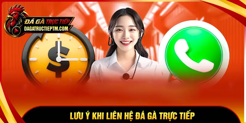 Điều cược thủ cần lưu ý trước khi Liên hệ Đá gà trực tiếp