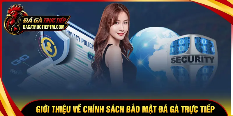 Khái quát về chính sách bảo mật tại Đá gà trực tiếp