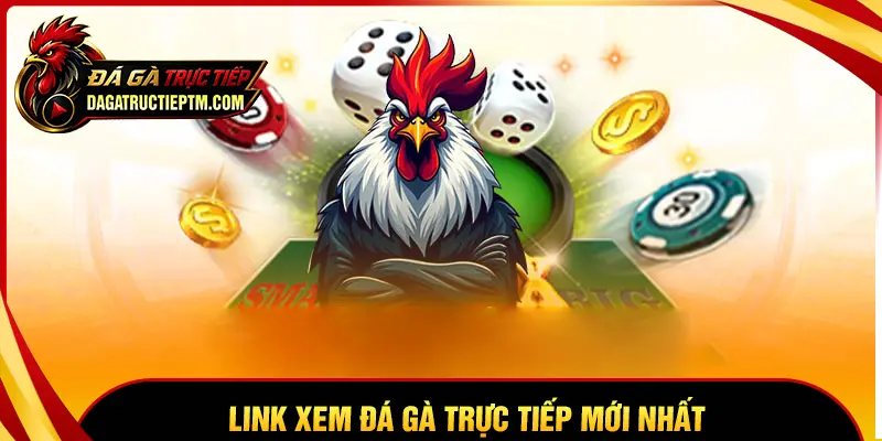 Link Đá gà trực tiếp hôm nay mới nhất (Cập nhật liên tục)