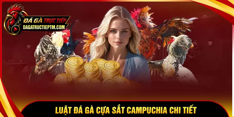 Luật đá gà cựa sắt Campuchia chi tiết nhất