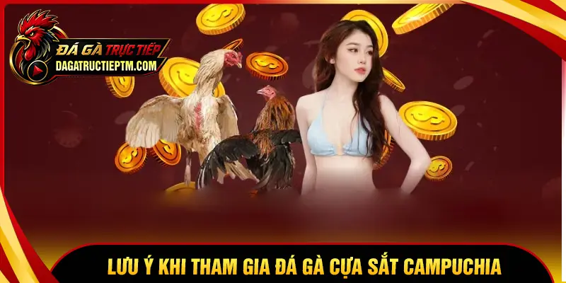Lưu ý quan trọng khi tham gia đá gà cựa sắt