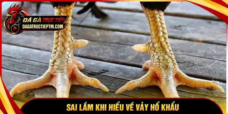Những sai lầm cần tránh khi đánh giá vảy Hổ Khẩu