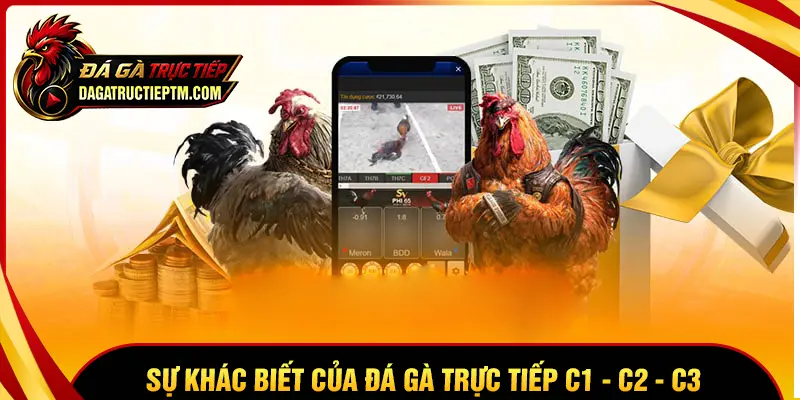 Sự khác biệt của Đá gà trực tiếp Thomo C1 C2 C3