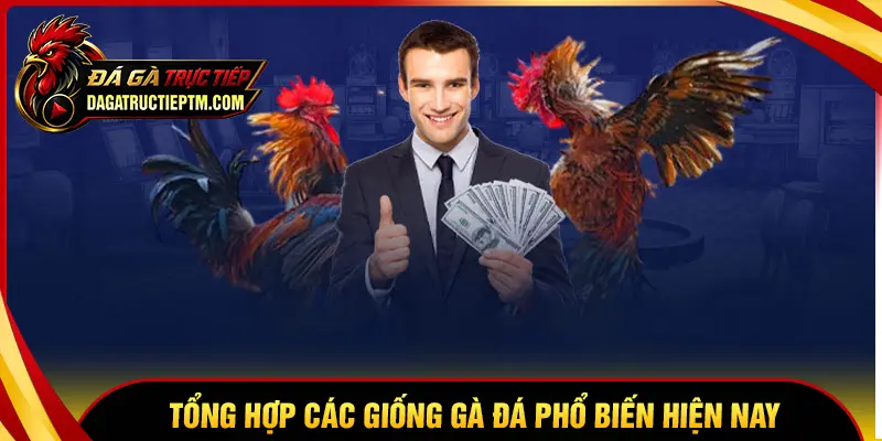 Tổng hợp các giống gà đá hay nhất hiện nay
