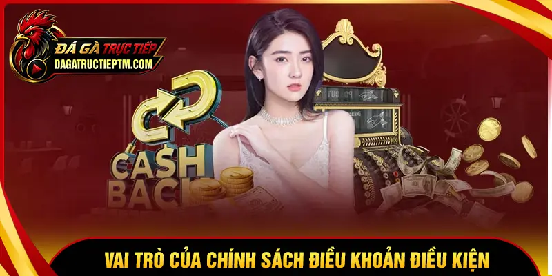 Vai trò của Điều khoản và điều kiện tại Đá gà trực tiếp