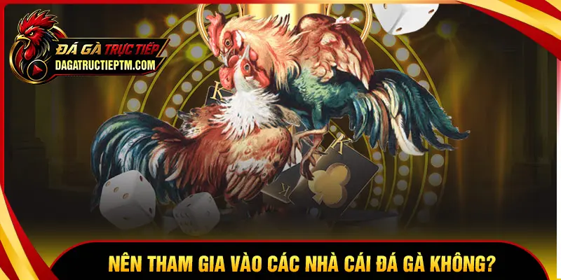 Có nên tham gia nhà cái đá gà online không?
