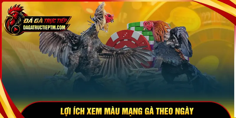 Lợi ích khi biết cách xem màu mạng gà đá theo ngày