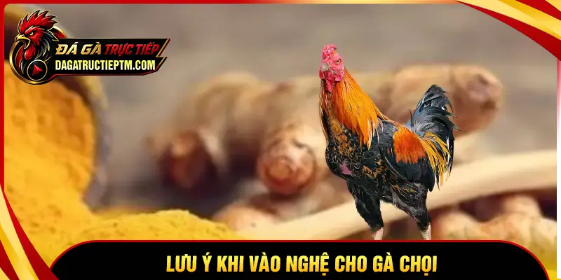 Lưu ý quan trọng để tránh phản tác dụng khi vào nghệ
