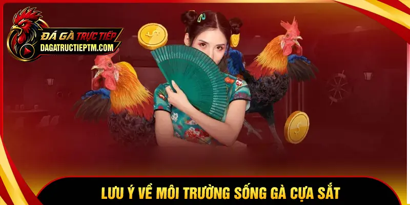 Lưu ý về môi trường sống trại gà cựa sắt
