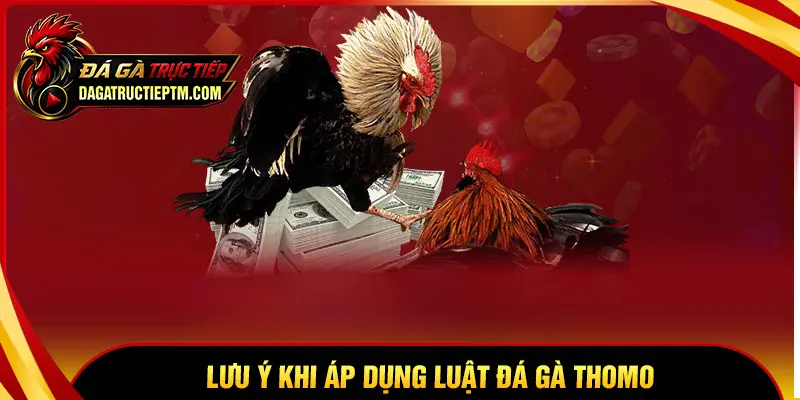 Những điều cần lưu ý khi áp dụng luật đá gà Thomo