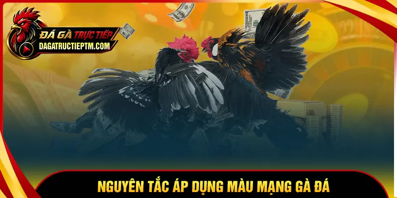 Những nguyên tắc quan trọng khi áp dụng màu mạng gà đá