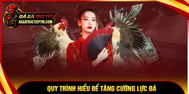 Quy trình huấn luyện và vận động tăng cường lực đá
