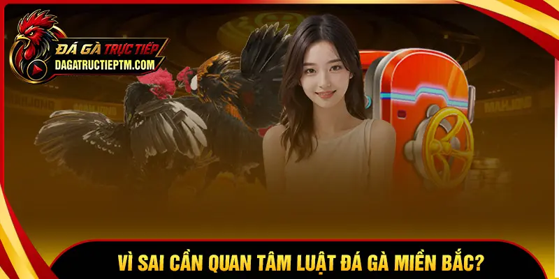 Tại sao người chơi nên nắm rõ luật đá gà miền Bắc?