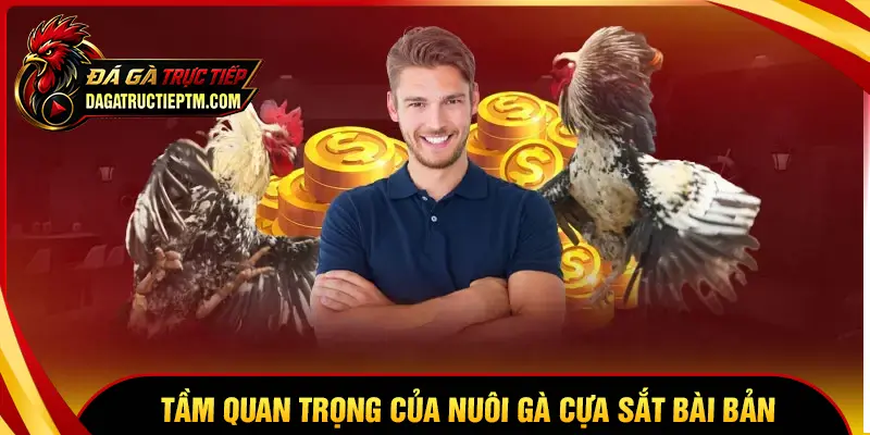 Tầm quan trọng của cách nuôi gà đá cựa sắt bài bản