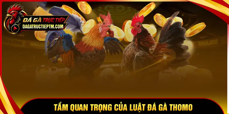 Tầm quan trọng của việc nắm rõ luật đá gà Thomo