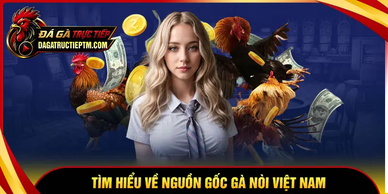 Tìm hiểu về nguồn gốc của gà nòi Việt Nam