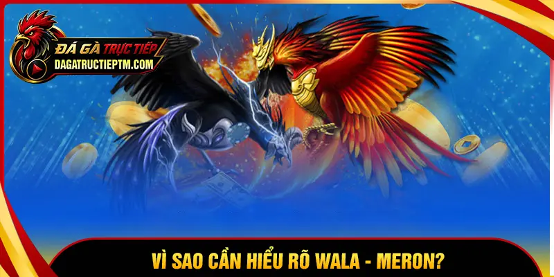 Vì sao người dùng nên hiểu rõ Wala Meron là gì?